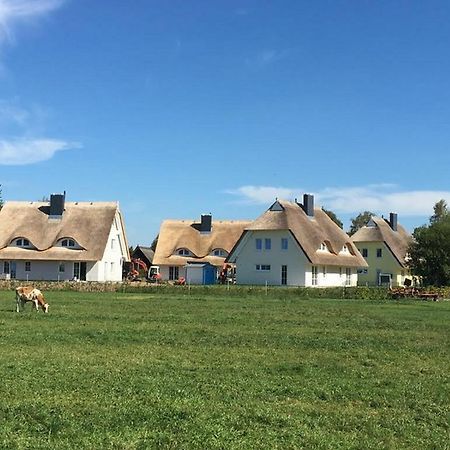 Reetdachhäuser Börgende Börgerende-Rethwisch Exteriör bild