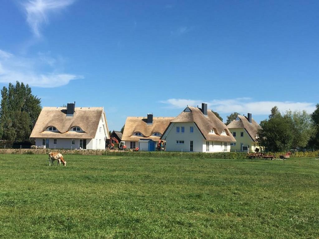 Reetdachhäuser Börgende Börgerende-Rethwisch Exteriör bild